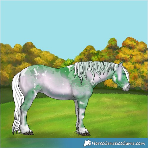 Horse Color:Watercolor White Spotted Silver Brown Onyx Merle 