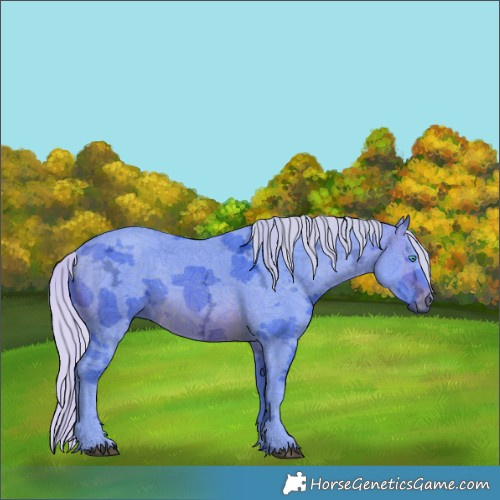 Horse Color:Watercolor Silver Brown Ice Merle 