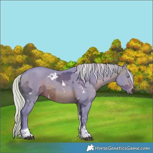 Horse Color:Watercolor White Spotted Silver Brown Merle Tobiano 