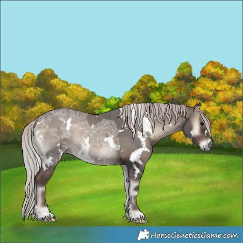Horse Color:White Spotted Silver Blue Onyx Ice 