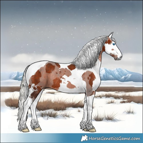 Horse Color:Silver Bay Merle Tobiano Rabicano 