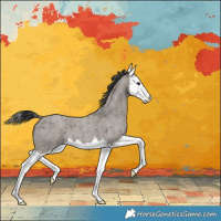 Horse Color:Grullo Roan Splash Varnish 