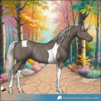 Horse Color:Silver Black Tobiano Rabicano 