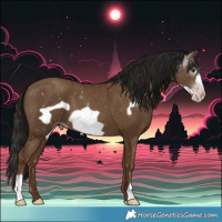 Horse Color:Gray Classic Champagne Frame