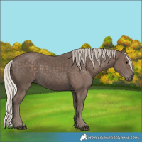 Horse Color:Silver Black 