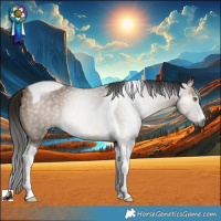 Horse Color:Gray Bay Dun Tobiano Rabicano