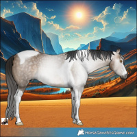 Horse Color:Gray Bay Dun Tobiano Rabicano 