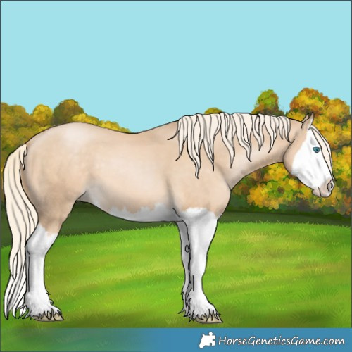 Horse Color:Palomino Pearl Splash 