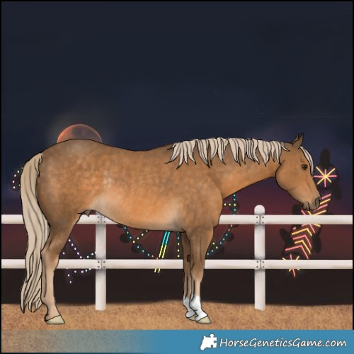 Horse Color:Chocolate Palomino Rabicano 