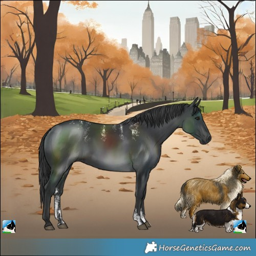 Horse Color:Powder White Black 