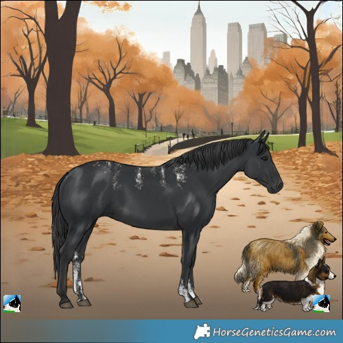 Horse Color:Powder White Black 