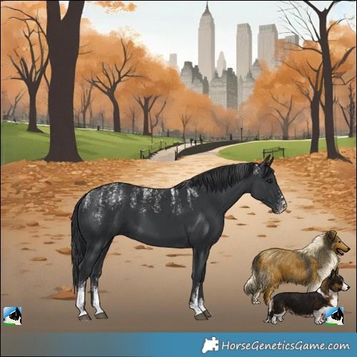 Horse Color:Powder White Black 