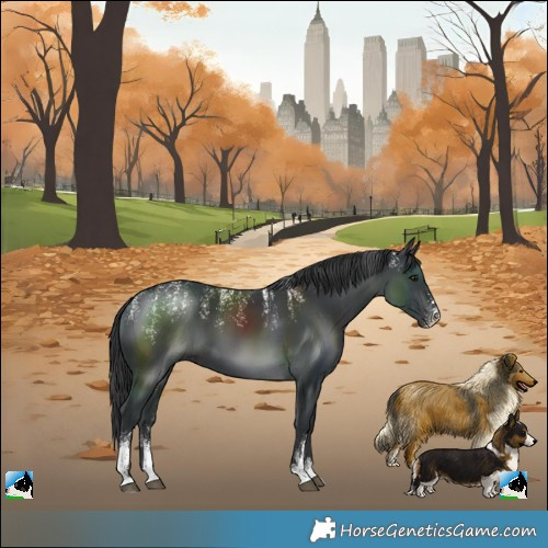 Horse Color:Powder White Black