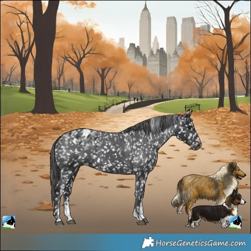 Horse Color:Powder White Black Snowflake Varnish