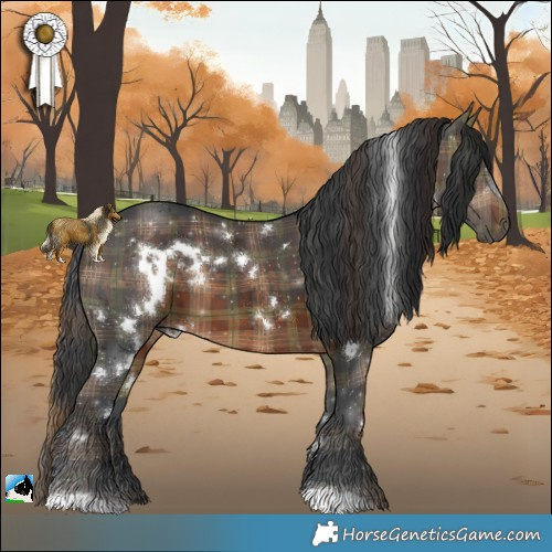 Horse Color:Plaid  White Spotted Brown 