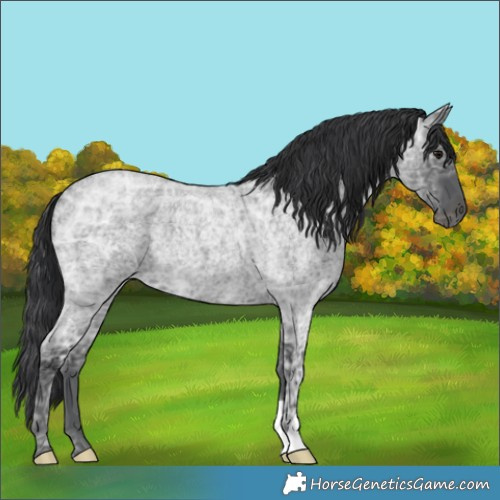 Horse Color:Blue Ice Roan