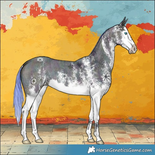 Horse Color:Watercolor White Spotted Midnight Buckskin Ice Splash 