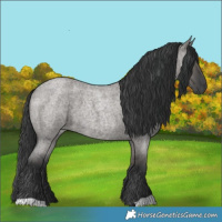 Horse Color:Grullo Roan 