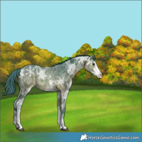 Horse Color:Watercolor White Spotted Bay Ice