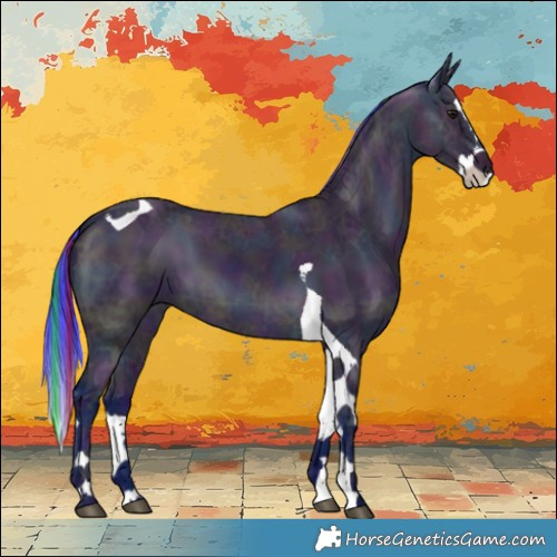 Horse Color:Painted Watercolor Midnight Bay Ice Splash Tobiano 