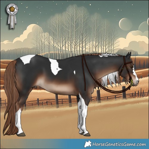 Horse Color:Liver Chestnut Tobiano 