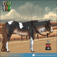 Horse Color:Liver Chestnut Tobiano 