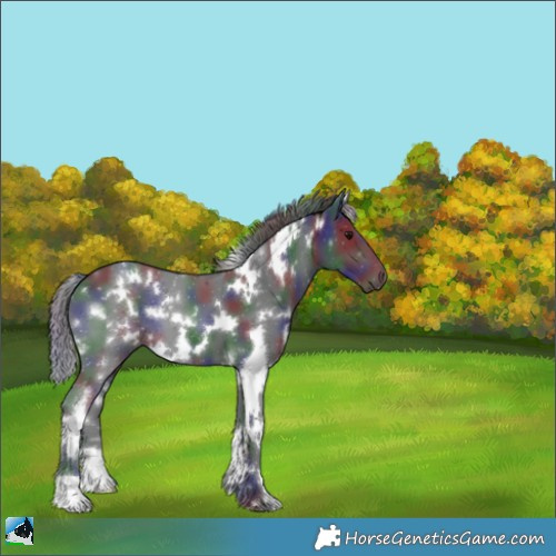 Horse Color:Nacre White Spotted Black 