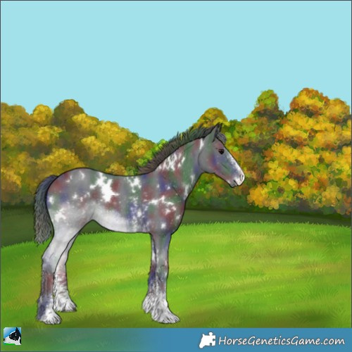 Horse Color:Nacre White Spotted Black Sabino 