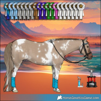 Horse Color:White Spotted Liver Red Dun Tobiano