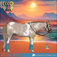 Horse Color:White Spotted Liver Red Dun Tobiano 