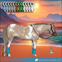 Horse Color:White Spotted Liver Red Dun Tobiano