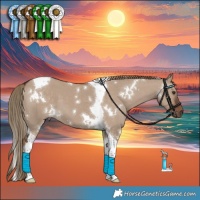 Horse Color:White Spotted Liver Red Dun Tobiano