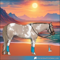 Horse Color:White Spotted Liver Red Dun Tobiano 
