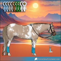 Horse Color:White Spotted Liver Red Dun Tobiano 