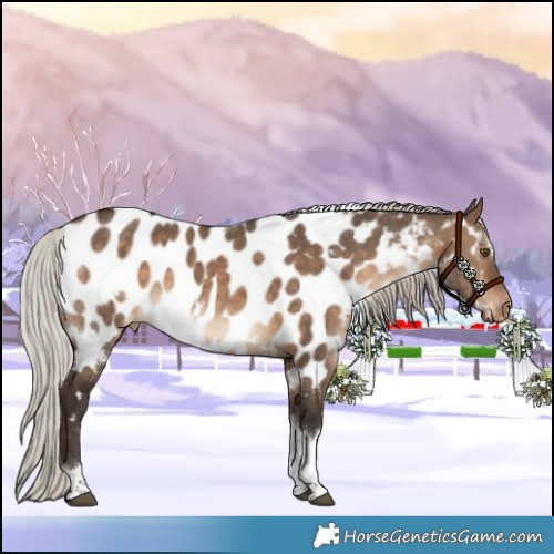Horse Color:White Spotted Silver Brown Dun Tobiano Appaloosa 
