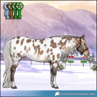 Horse Color:White Spotted Silver Brown Dun Tobiano Appaloosa 