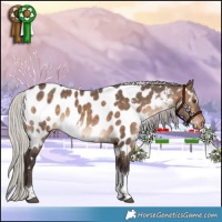 Horse Color:White Spotted Silver Brown Dun Tobiano Appaloosa 