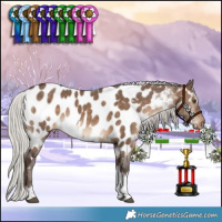 Horse Color:White Spotted Silver Brown Dun Tobiano Appaloosa