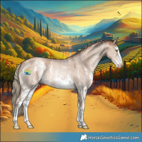 Horse Color:Liver Red Dun Pearl Mushroom Sabino 