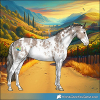 Horse Color:White Spotted Liver Red Dun Mushroom Sabino 