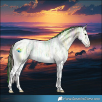 Horse Color:Painted White Spotted Buckskin Ice Onyx Tobiano