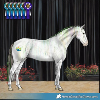 Horse Color:Painted White Spotted Buckskin Ice Onyx Tobiano 