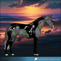 Horse Color:Nacre Smoky Black Tobiano 
