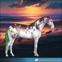 Horse Color:Painted White Spotted Brown Onyx 