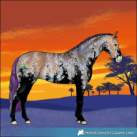 Horse Color:Painted White Spotted Bay Dun 