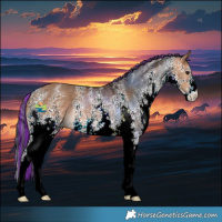 Horse Color:Painted White Spotted Bay Dun