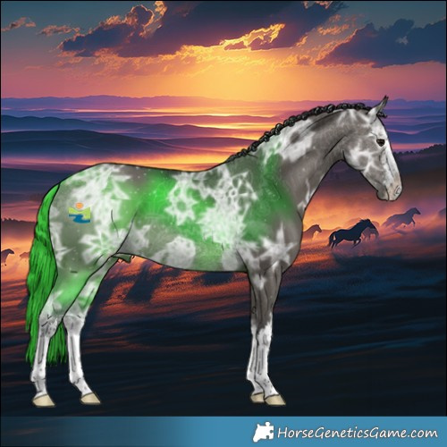 Horse Color:White Spotted Grullo Ice 