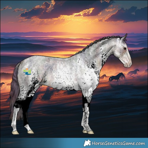 Horse Color:Nacre White Spotted Buckskin Ice Roan 
