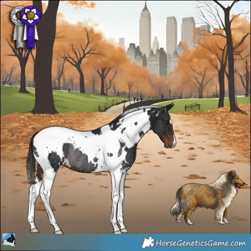 Horse Color:White Spotted Liver Chestnut Tobiano Rabicano