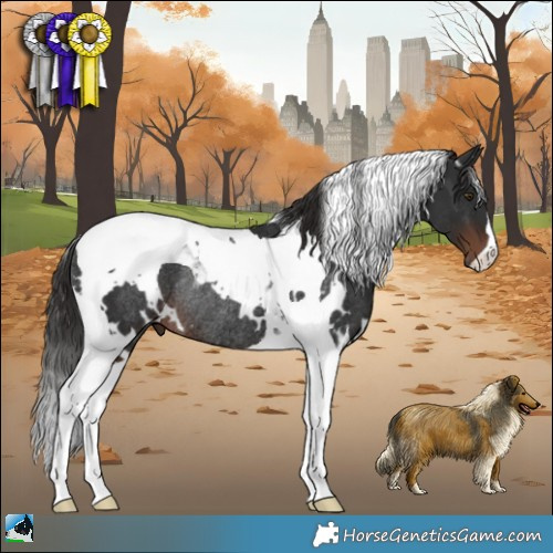 Horse Color:White Spotted Liver Chestnut Tobiano Rabicano 